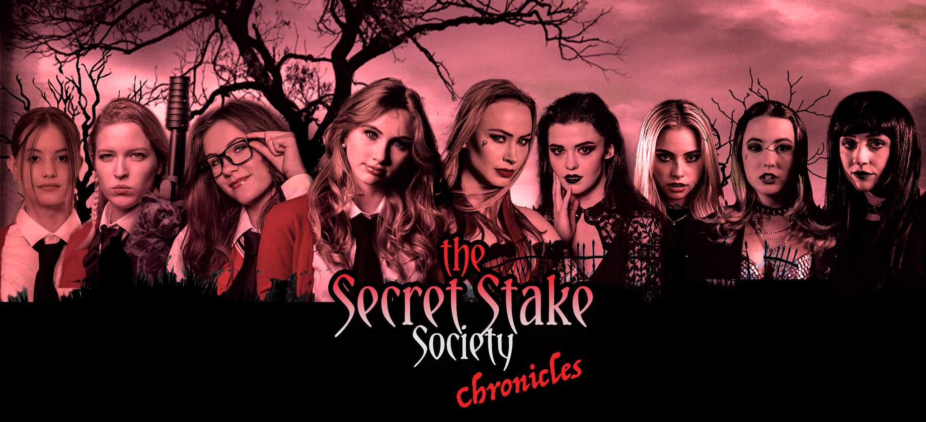 The Secret Stake Society Chronicles
